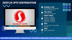 Understanding IPTV: The Future of Television Viewing